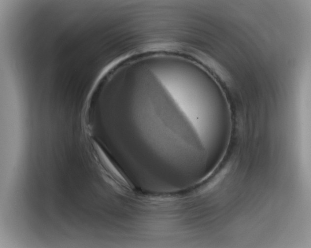 X0000114720830200910211345