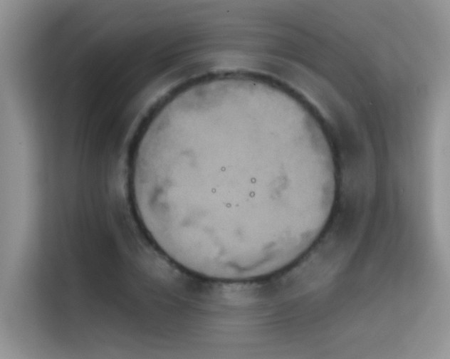 X0000114720832200910211345