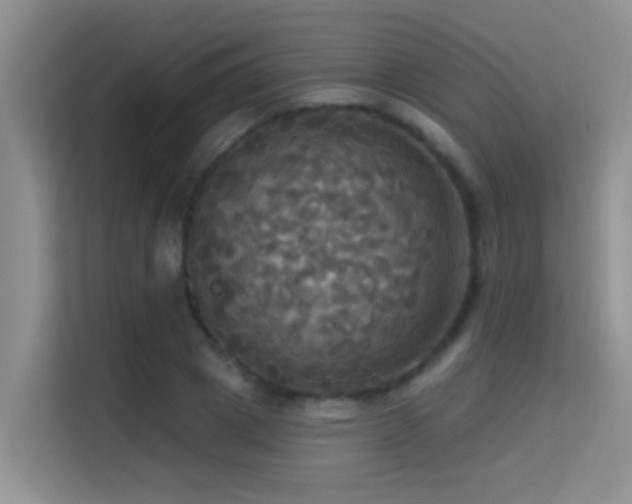 X0000114720833200910211345