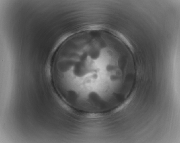 X0000114720835200910211345