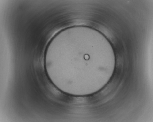 X0000114720836200910211345