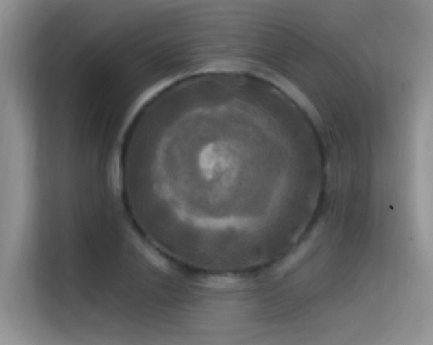 X0000114720838200910211345