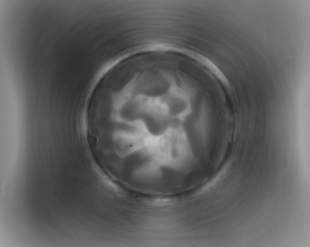 X0000114720839200910211345