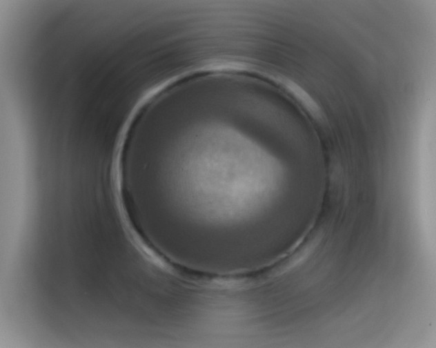 X0000114720840200910211345