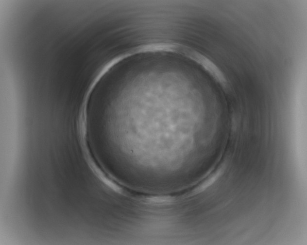 X0000114720844200910211345