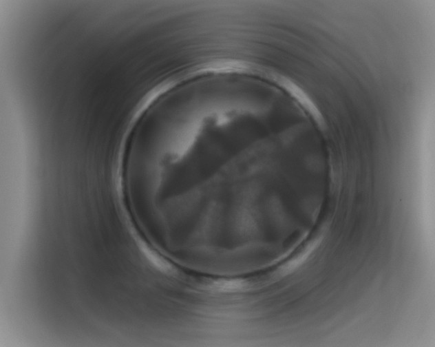 X0000114720845200910211345