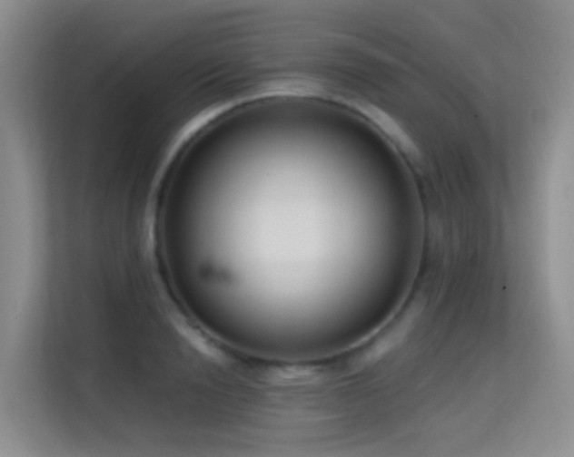 X0000114720846200910211345