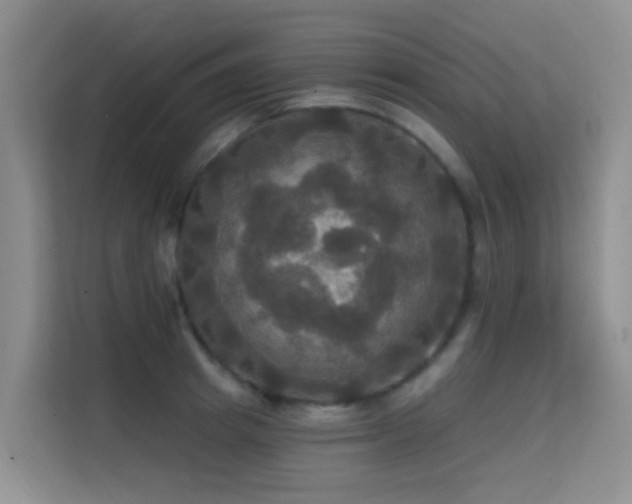 X0000114720849200910211345