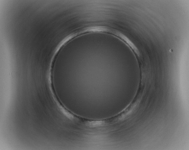 X0000114720853200910211346