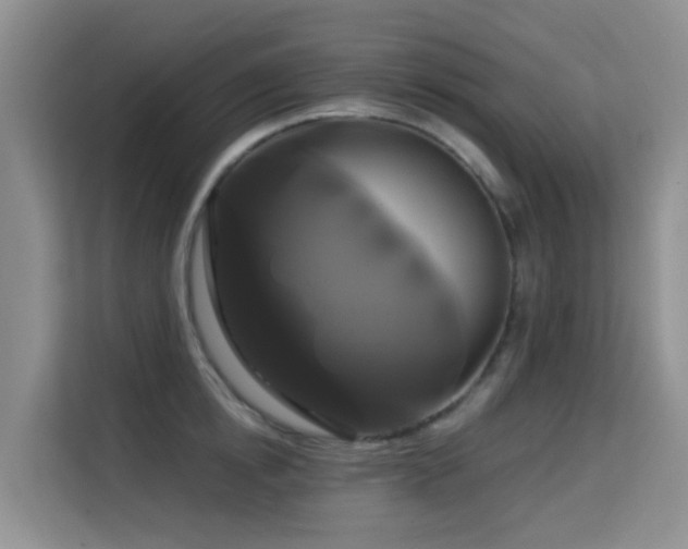 X0000114720854200910211346