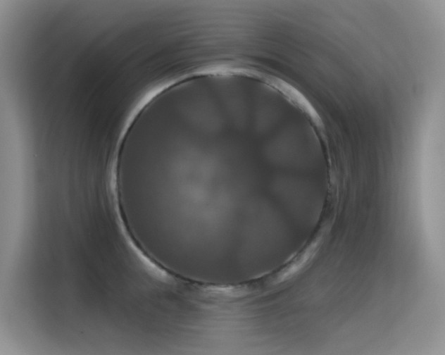 X0000114720855200910211346