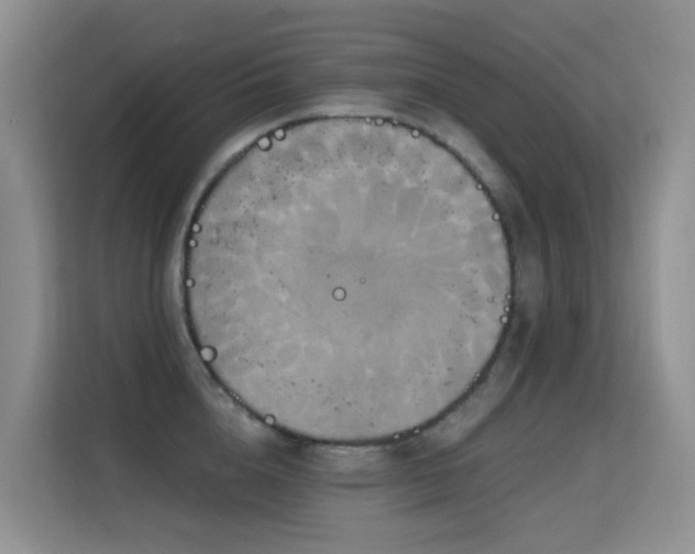 X0000114720856200910211346