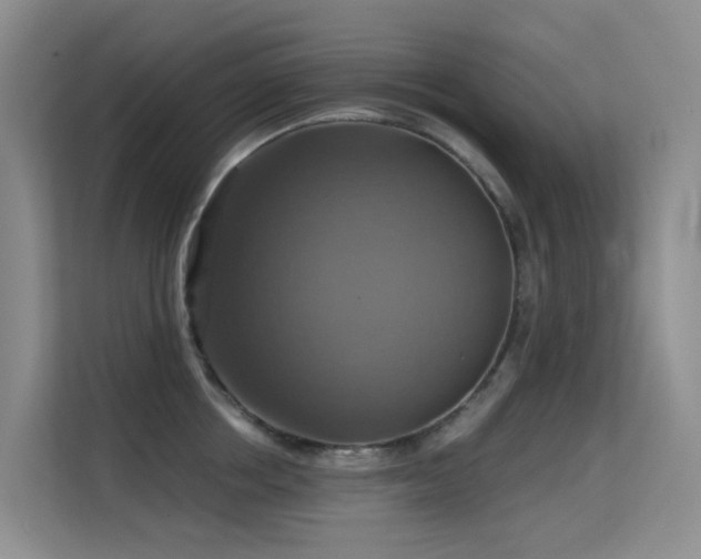 X0000114720858200910211346