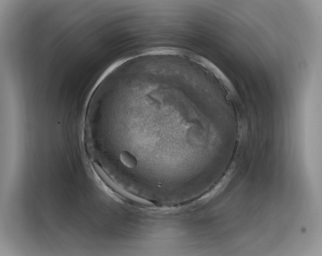 X0000114720860200910211346