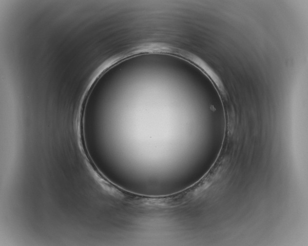 X0000114720861200910211346