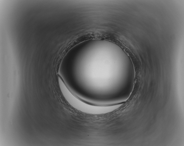 X0000114720865200910211345