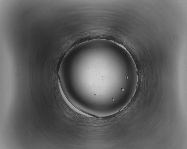 X0000114720868200910211345