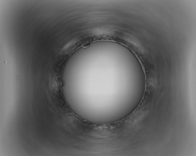 X0000114720869200910211345