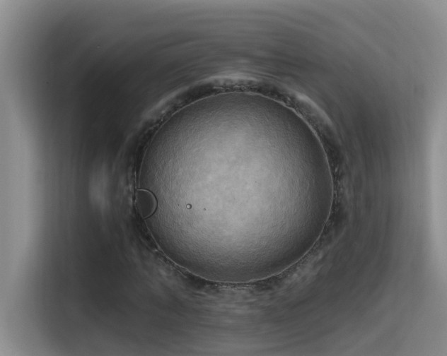 X0000114720870200910211345