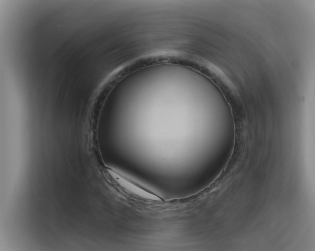 X0000114720872200910211345