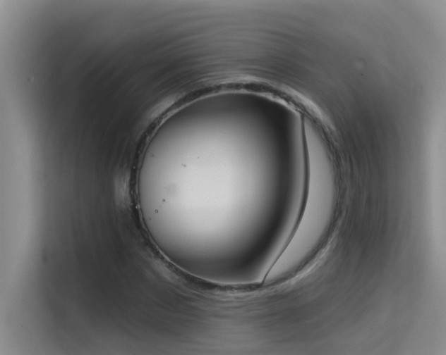 X0000114720873200910211345