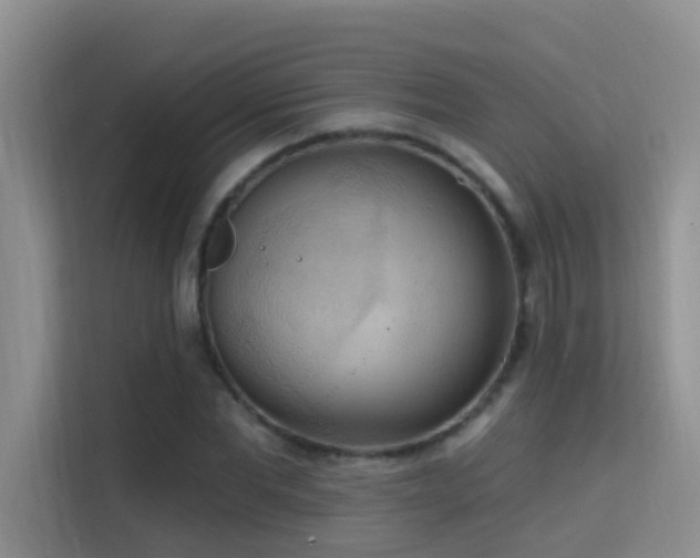 X0000114720877200910211345