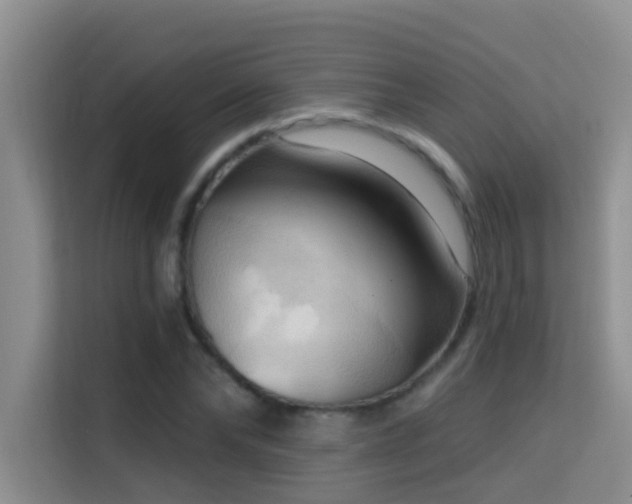 X0000114720878200910211345