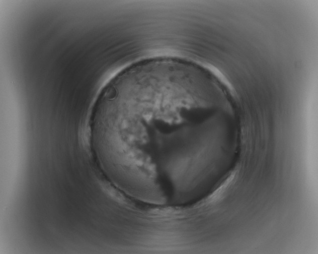 X0000114720879200910211345