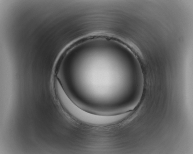 X0000114720880200910211345