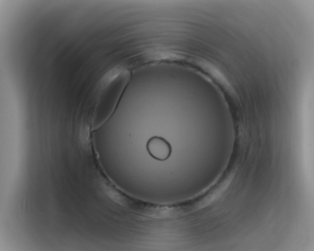 X0000114720881200910211345