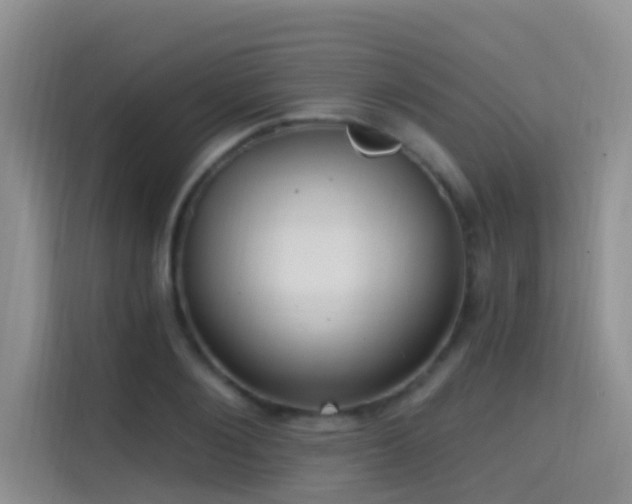 X0000114720884200910211345