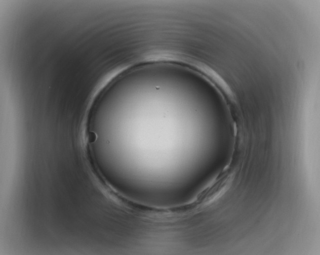 X0000114720885200910211345