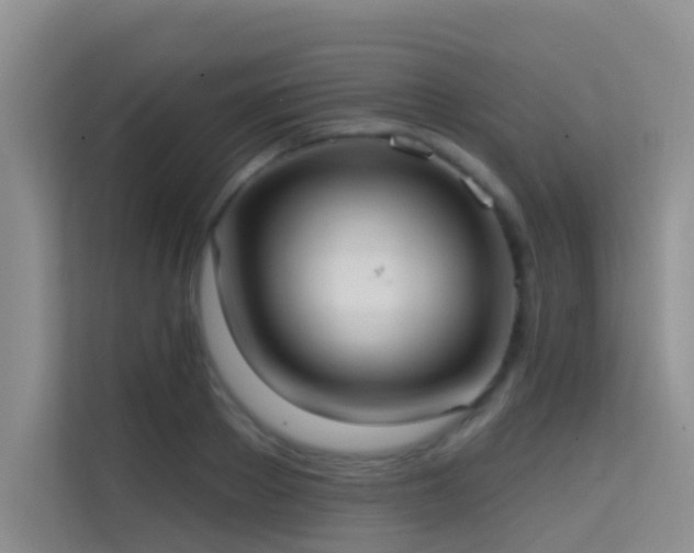 X0000114720889200910211345