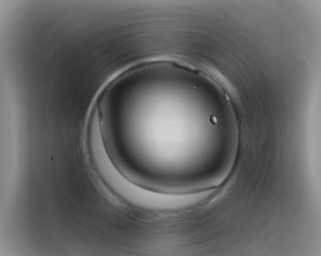 X0000114720892200910211345