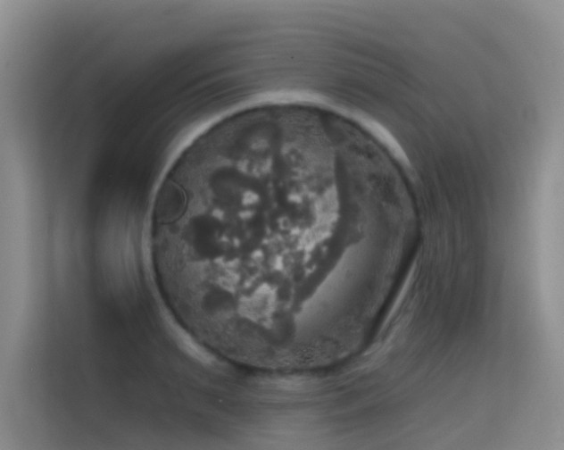 X0000114720895200910211345