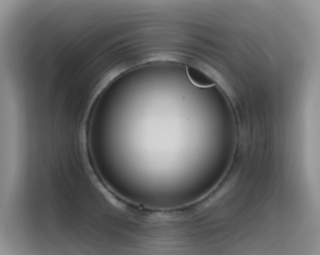 X0000114720898200910211345