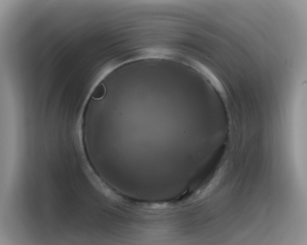 X0000114720899200910211345