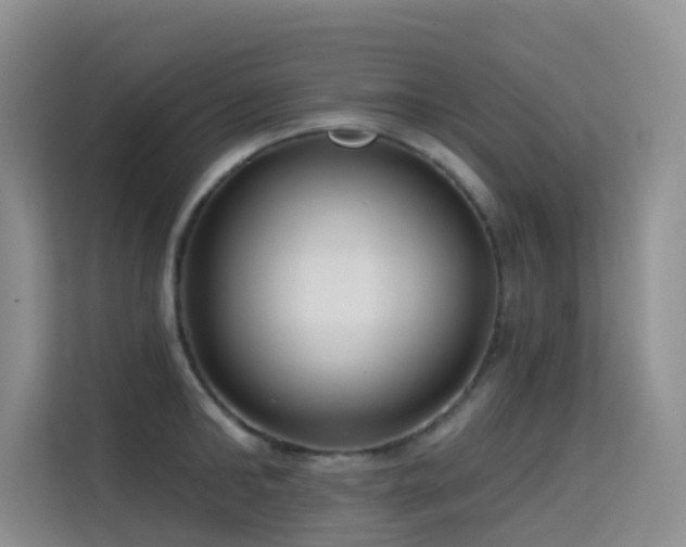 X0000114720902200910211345