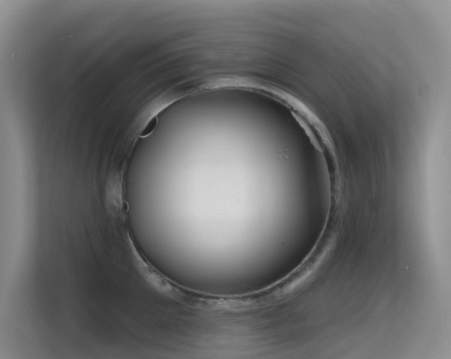 X0000114720905200910211345