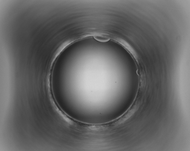 X0000114720906200910211345