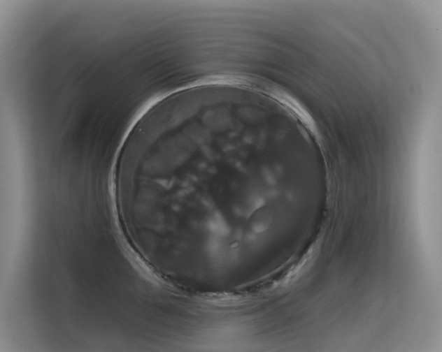 X0000114720907200910211344