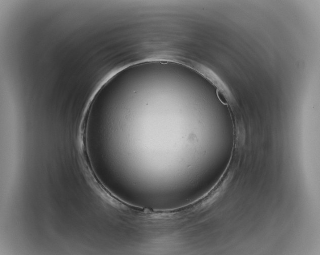 X0000114720908200910211344