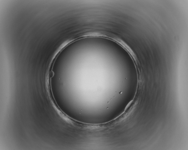 X0000114720909200910211344