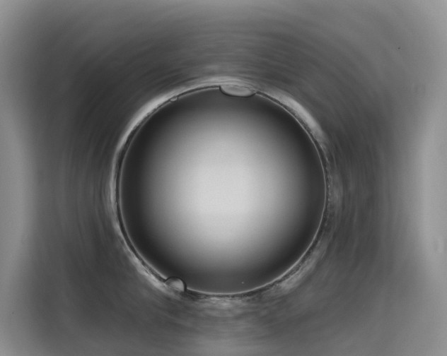 X0000114720910200910211344