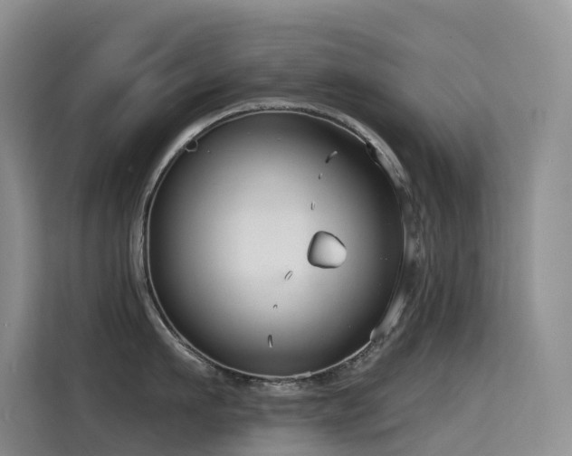 X0000114720911200910211344