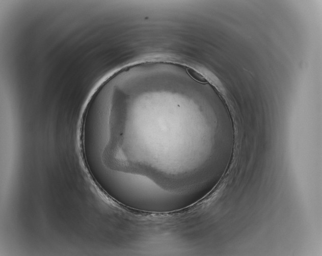 X0000114720912200910211344