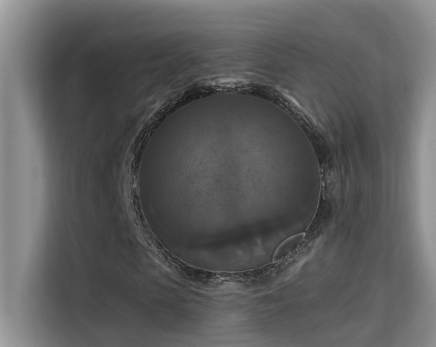 X0000114720913200910211344