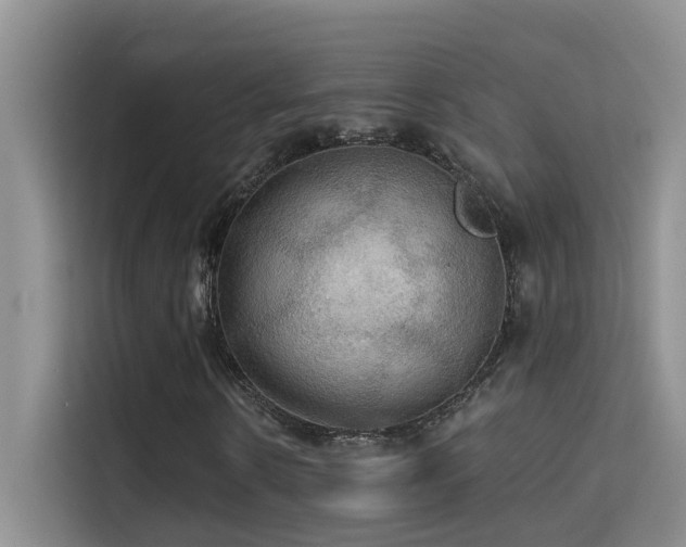 X0000114720914200910211344