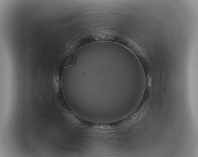 X0000114720915200910211344