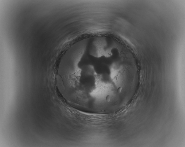 X0000114720917200910211344